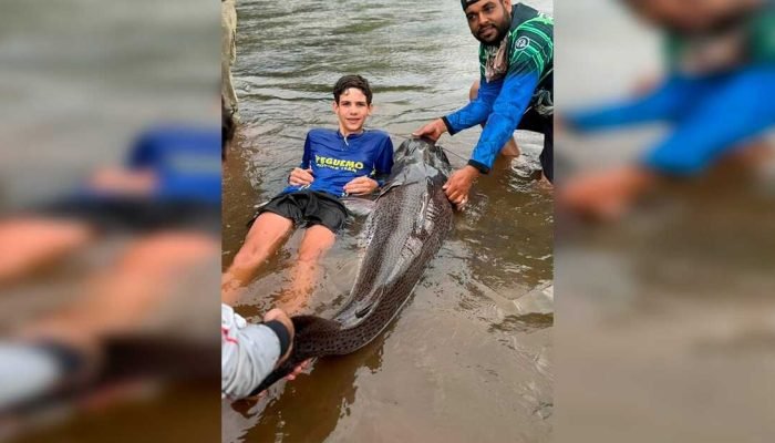 Adolescente de 13 anos pesca pintado gigante no Rio Dourados