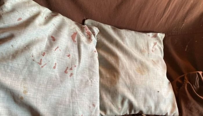 Feminicídio em Três Lagoas: Mulher alega 'retirar espíritos' ao matar companheira