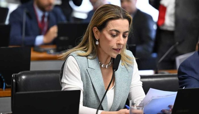 Soraya relata projetos que ampliam punições por misoginia e violência patrimonial contra mulheres