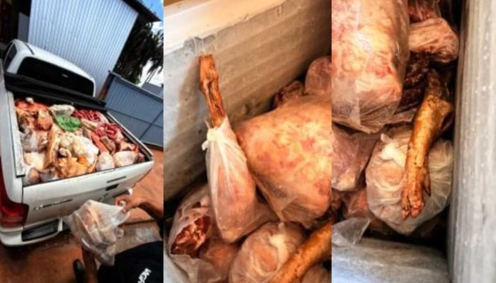 Quase uma tonelada de carne estragada é apreendida em mercados de Jaraguari Quase uma tonelada de carne estragada é apreendida em mercados de Jaraguari