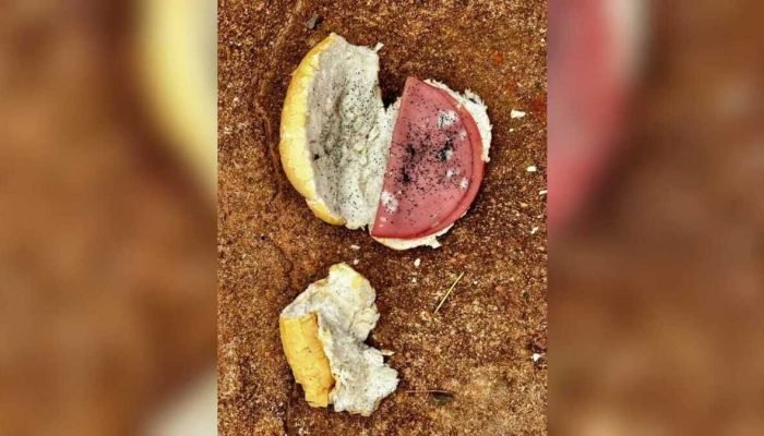 Jovem Morre Envenenado por Ex-Padrasto com Pão Contaminado em Bataguassu