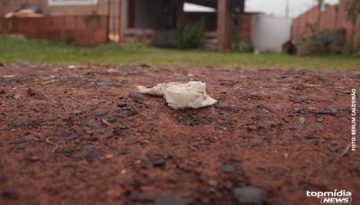 Luana correu 80 metros enquanto gritava por socorro no Colúmbia