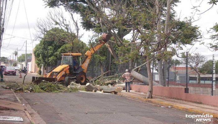 Ventania derruba árvore e moradores ficam sem energia em Campo Grande