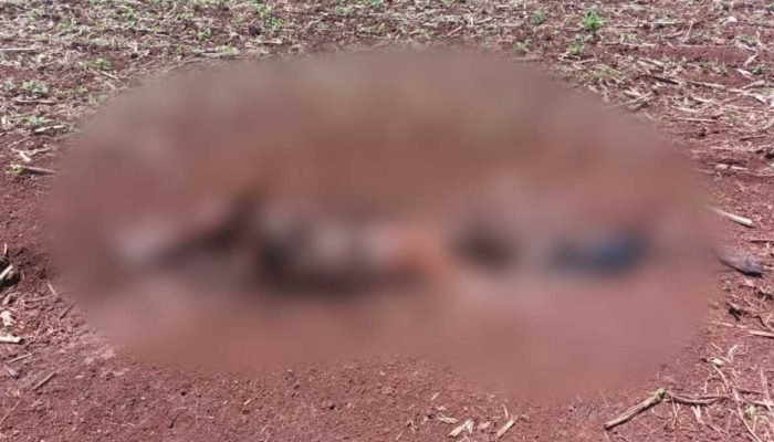 Corpo de homem é encontrado parcialmente enterrado em Ponta Porã