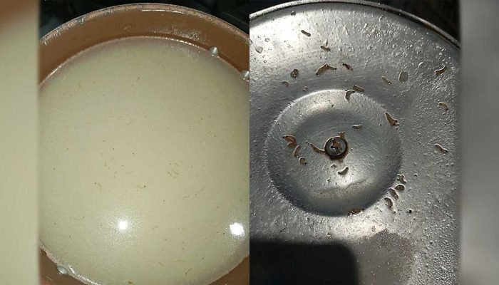Infestação de larvas em alimentos preocupa morador de Campo Grande