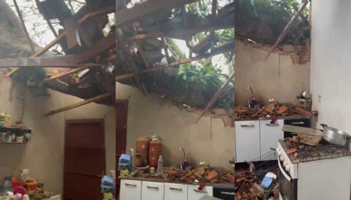 Temporal em Campo Grande destrói lar de jornalista após falha em remoção de árvore