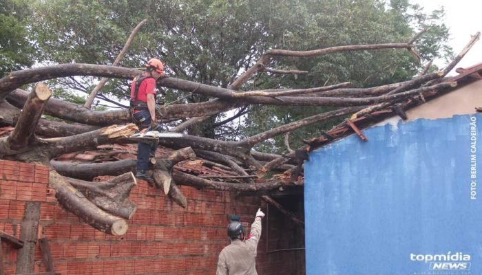 Idoso escapa de ferimentos graves após árvore atingir casa em Campo Grande