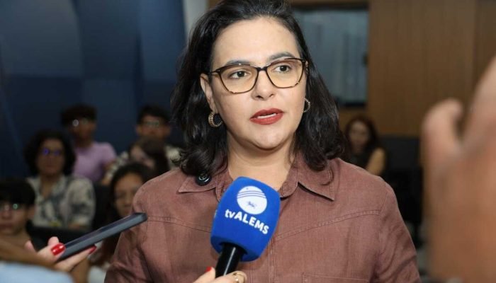 Mato grosso do sul propõe canal 24h para vítimas de golpes digitais