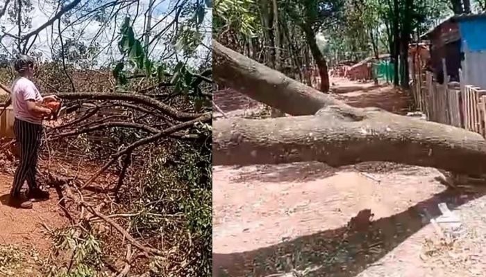 Chuva forte causa estragos e Moradores agem por conta própria em campo grande