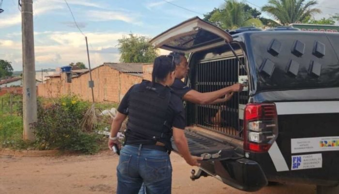 Foto: PREF. MARACAJU - DEZEMBRO 2