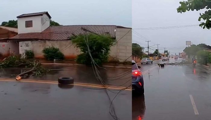 Galho e fiação caem na Avenida Tamandaré — Foto: PREF. MARACAJU - DEZEMBRO 2