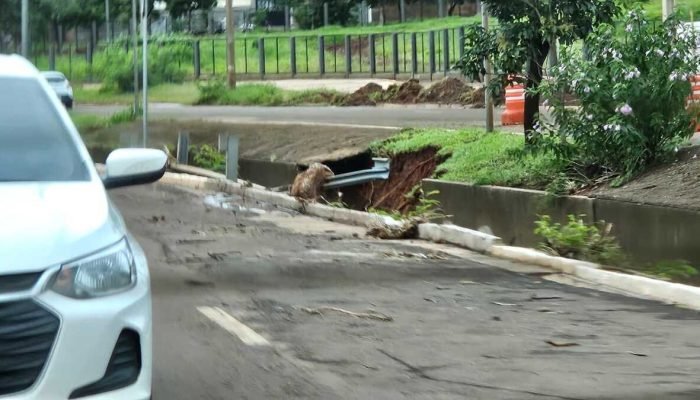 Foto: PREF MARACAJU - DEZEMBRO 2025 1