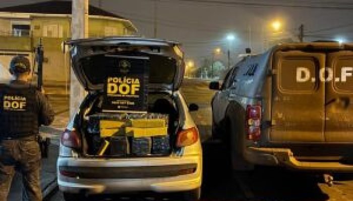 Policiais apreendem 301 quilos de maconha em Sidrolândia