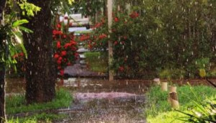 Inmet eleva alerta para laranja e aponta risco de ventos de até 100 km/h em Dourados