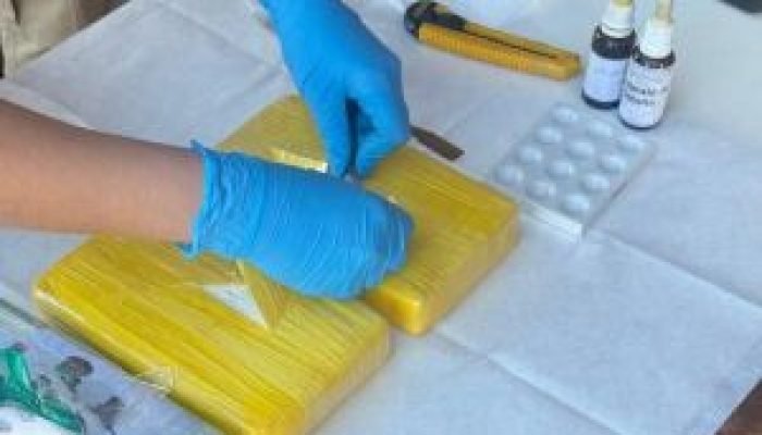 Denar incinera quase 10 toneladas de maconha e cocaína nesta sexta-feira