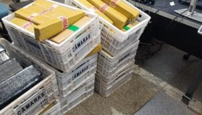Polícia apreende 220 quilos de maconha após perseguição em Ponta Porã