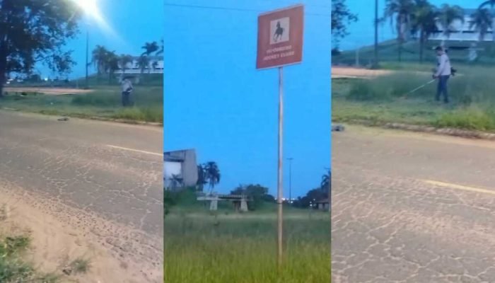 Morador realizou a limpeza do canteiro em frente ao hipódromo para garantir maio