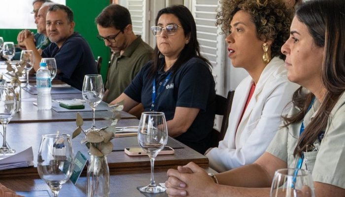 Comissão da Câmara pede que Ibama fiscalize crimes ambientais da CSN